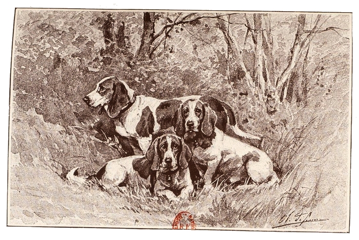 Illustration tirée du Manuel de Vènerie française - Emmanuel Le Couteulx de Canteleu (1890) - Hachette et Cie (Paris) - BnF (Gallica) (7)